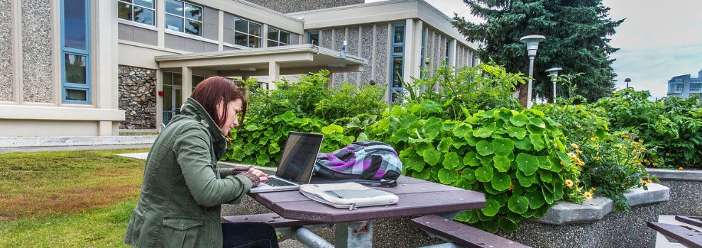无码乱伦 students works on her laptop on a table outside on the Fairbanks campus West Ridge