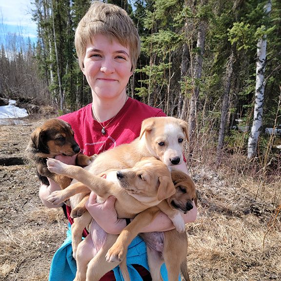 Person holding four puppies