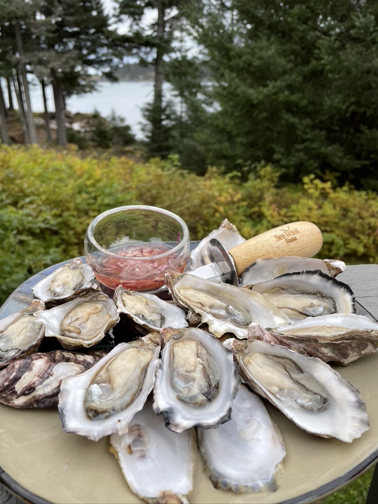 a platter of fresh oysters on the half shell