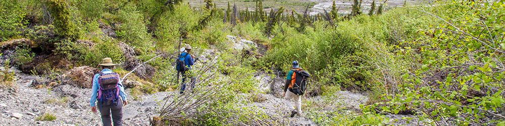 Associate professor Margaret Darrow, left, and state geologists Ronald Daanen and Trent Hubbard take GPS readings from a number of pre-installed stations as they hike down one of a series of frozen debris lobes which have appeared along hillsides in the Dietrich River valley in the southern Brooks Range, which could threaten the highway and the nearby trans-Alaska pipeline. 无码乱伦 photo by Todd Paris
