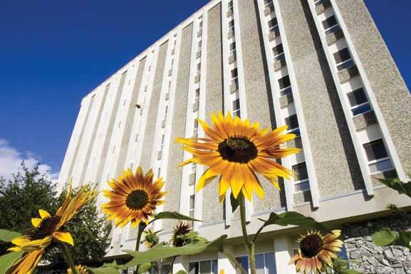 exterior of Moore hall with sunflowers in the foreground